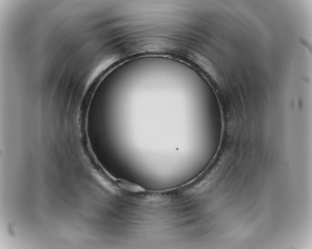 X0000096421026200801241312