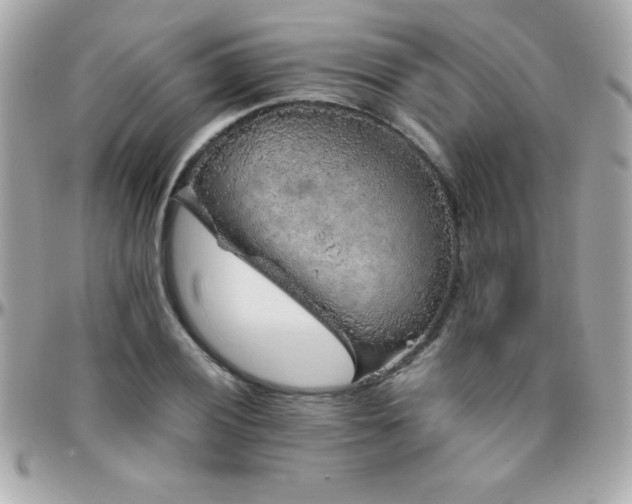 X0000096421028200801241312