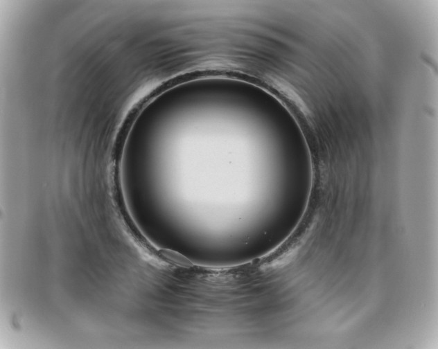 X0000096421029200801241312