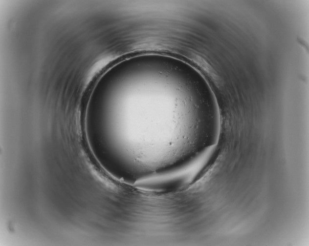 X0000096421030200801241312
