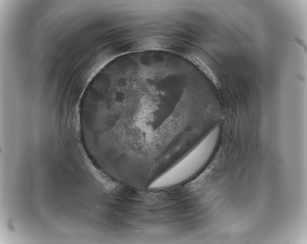 X0000096421031200801241312