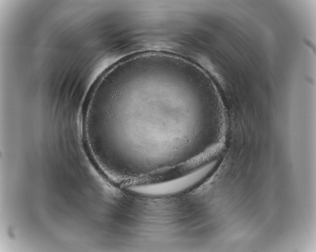 X0000096421032200801241312