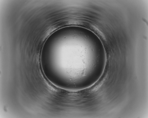 X0000096421033200801241312