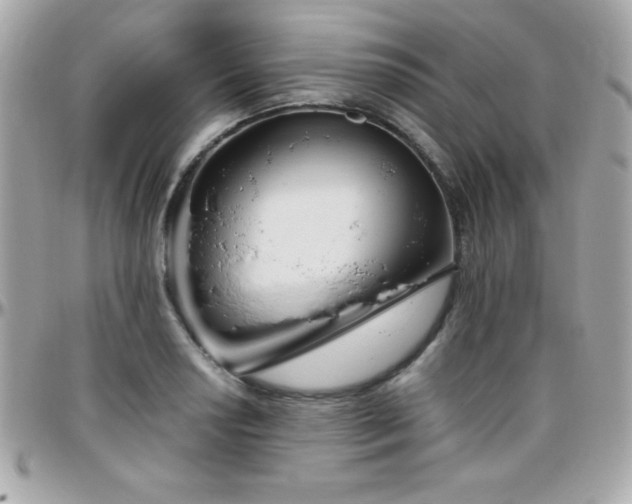 X0000096421034200801241312