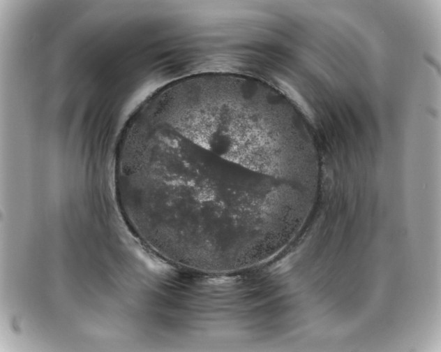 X0000096421035200801241313