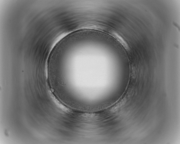 X0000096421036200801241313