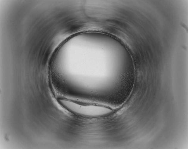 X0000096421038200801241313