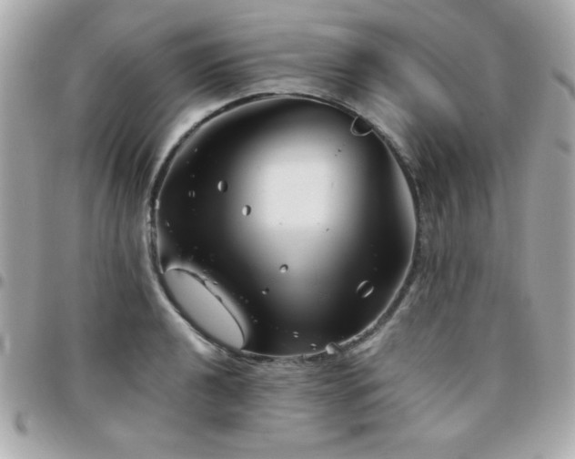 X0000096421040200801241313