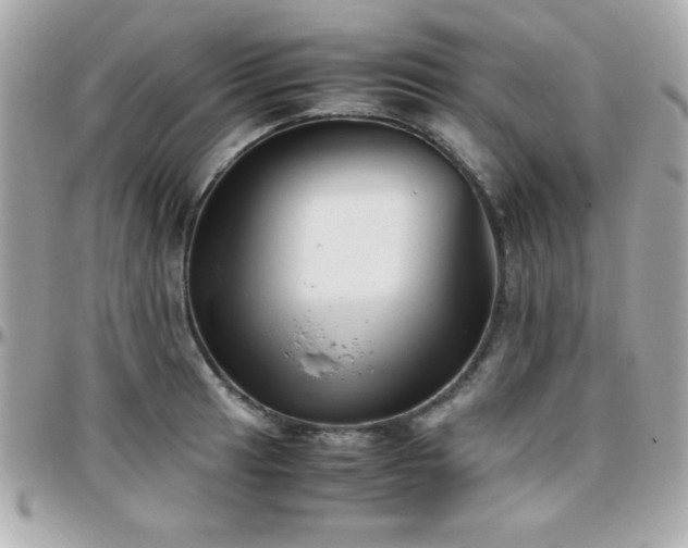 X0000096421041200801241313