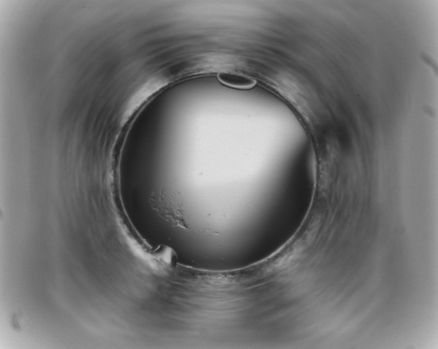 X0000096421042200801241313