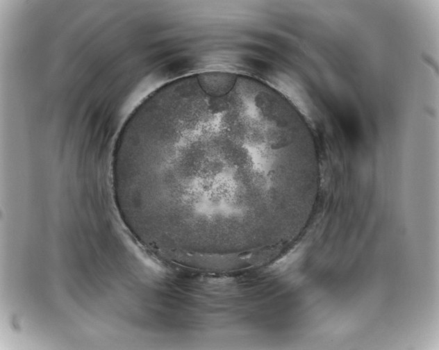 X0000096421043200801241313