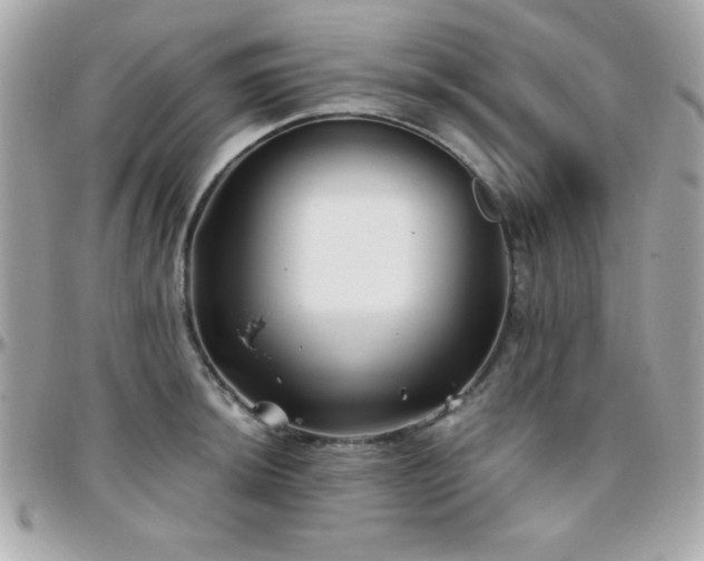 X0000096421044200801241313