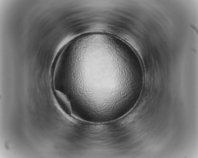 X0000096421045200801241313