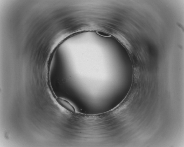 X0000096421046200801241313