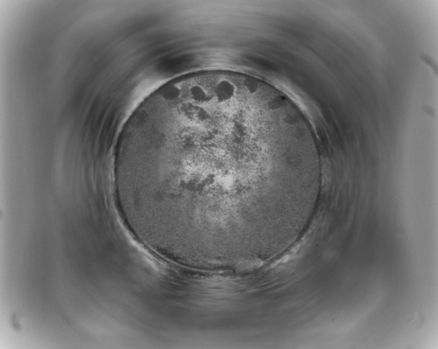 X0000096421048200801241313