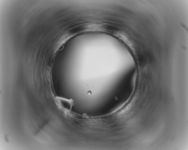 X0000096421049200801241313