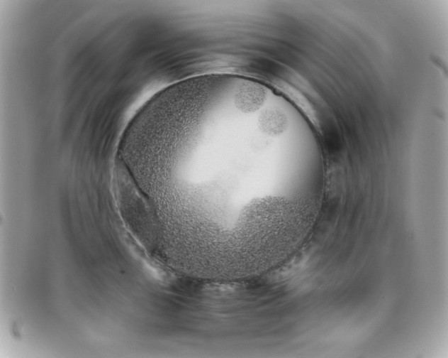 X0000096421051200801241313