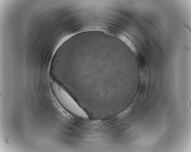 X0000096421052200801241313