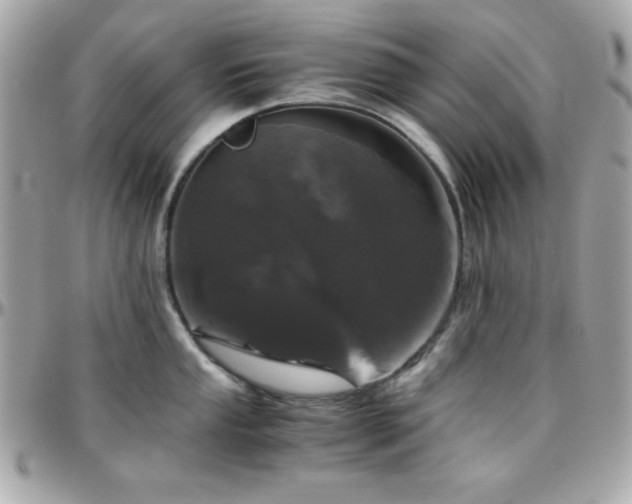 X0000096421053200801241313