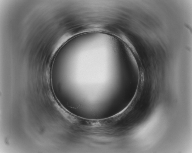 X0000096421054200801241313