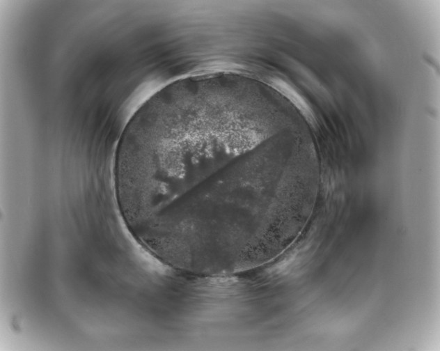 X0000096421055200801241313