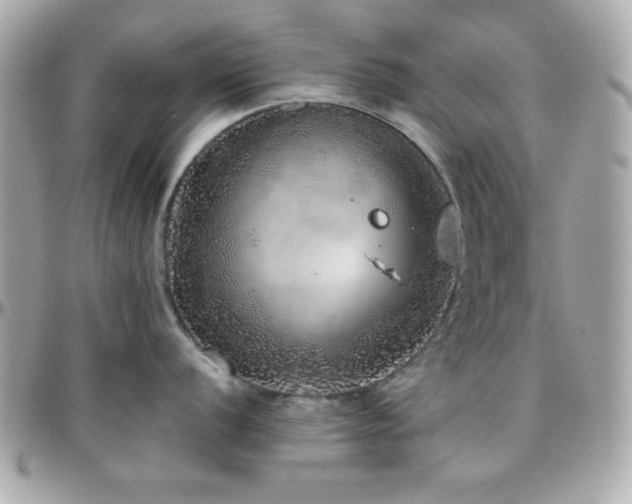 X0000096421056200801241313