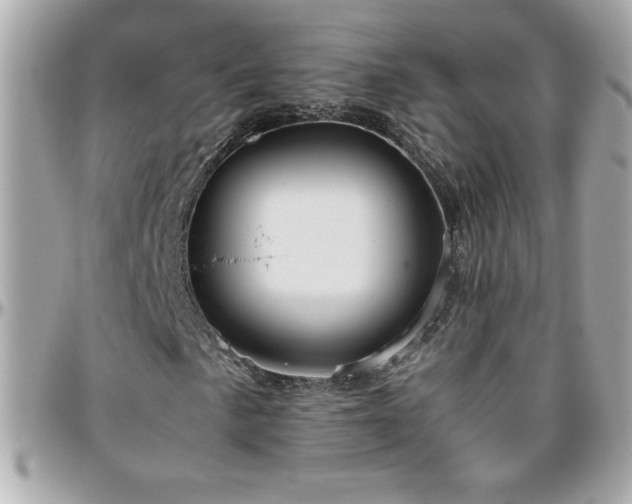 X0000096421057200801241312