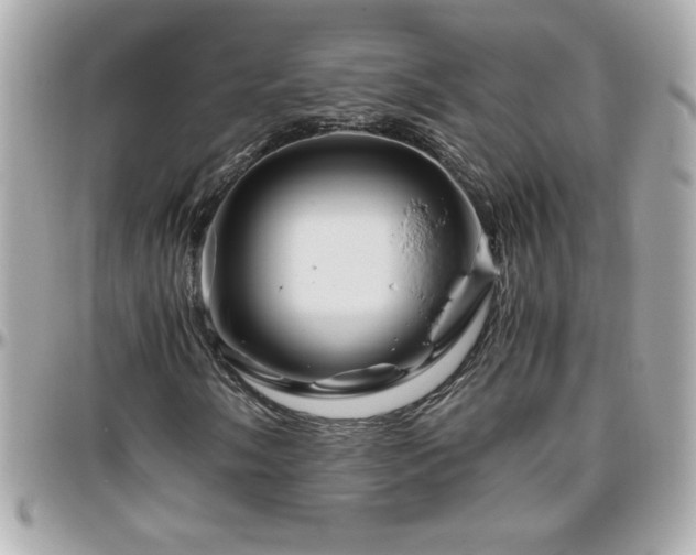 X0000096421058200801241312