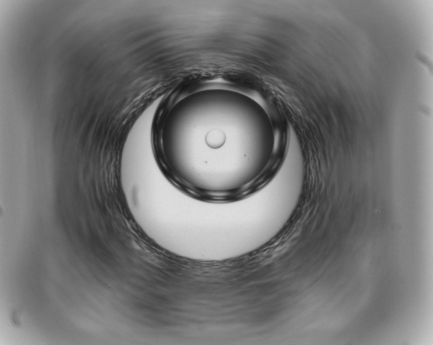 X0000096421060200801241312