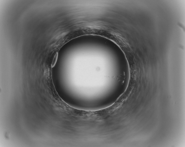 X0000096421061200801241312
