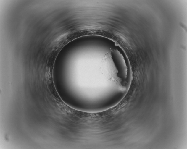 X0000096421062200801241312