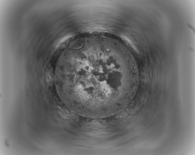 X0000096421063200801241312