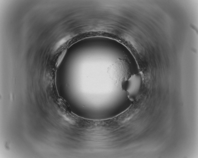 X0000096421064200801241312