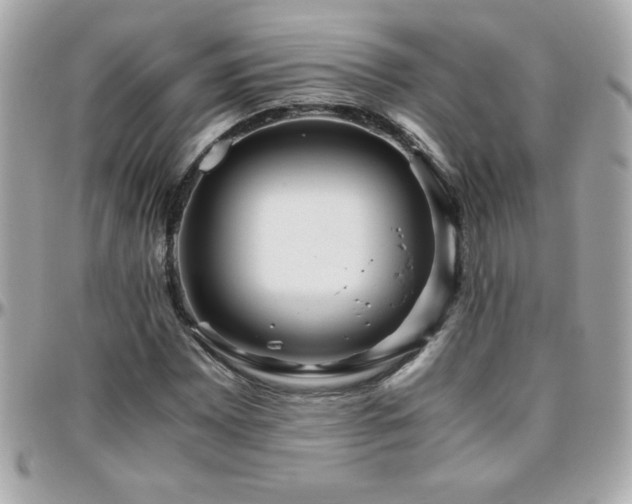 X0000096421065200801241312