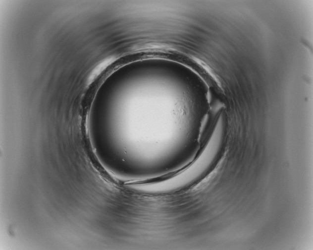 X0000096421066200801241312