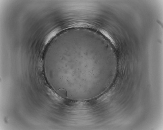 X0000096421067200801241312