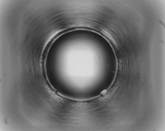 X0000096421068200801241312