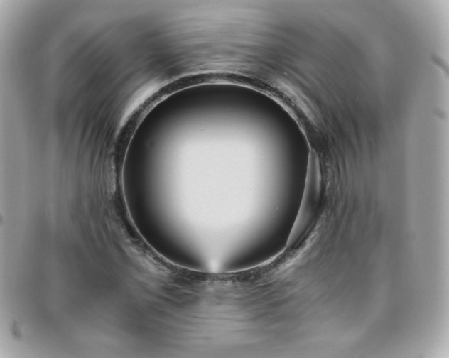 X0000096421069200801241312