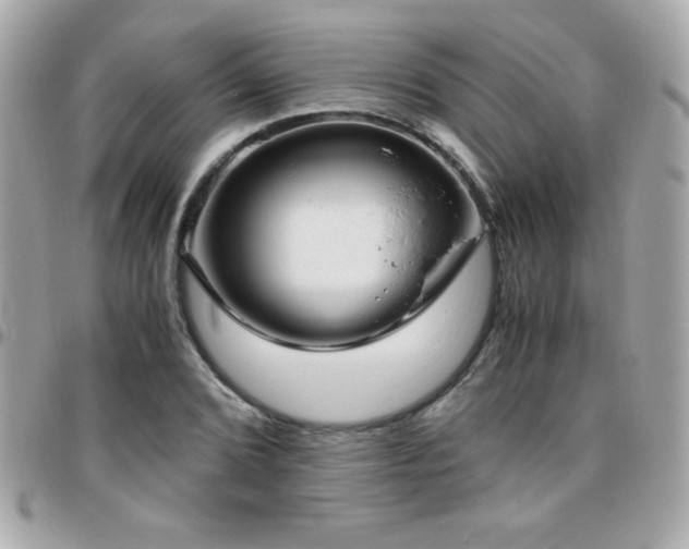 X0000096421072200801241312