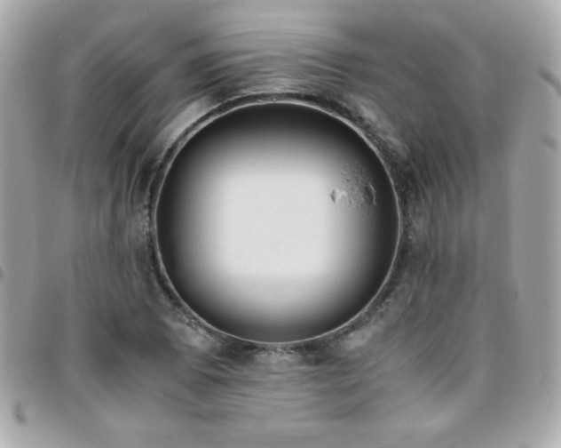 X0000096421073200801241312