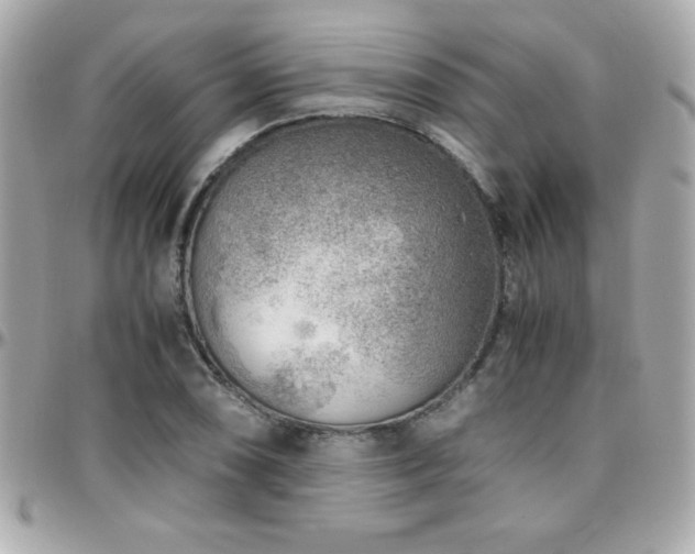 X0000096421074200801241312