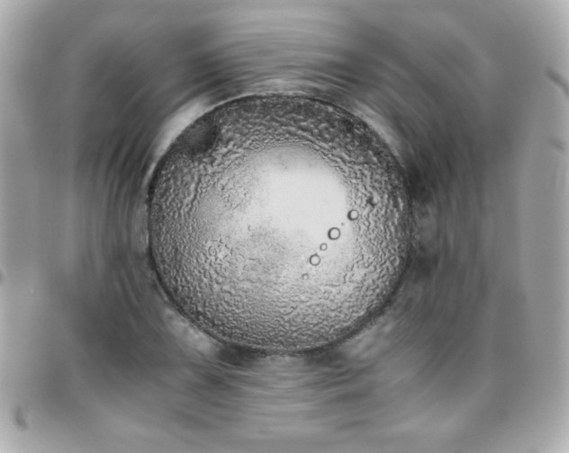 X0000096421075200801241312