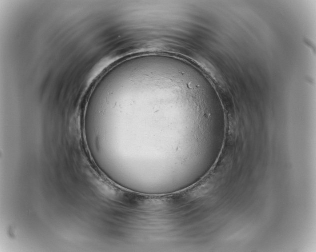 X0000096421078200801241312