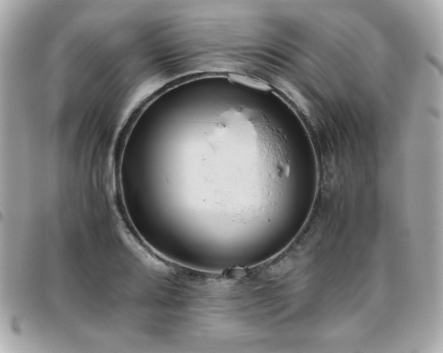 X0000096421080200801241312