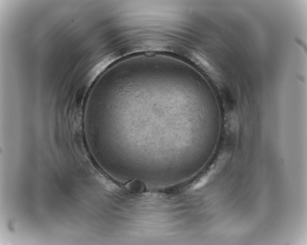 X0000096421081200801241312
