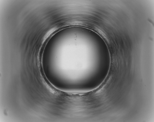X0000096421082200801241312