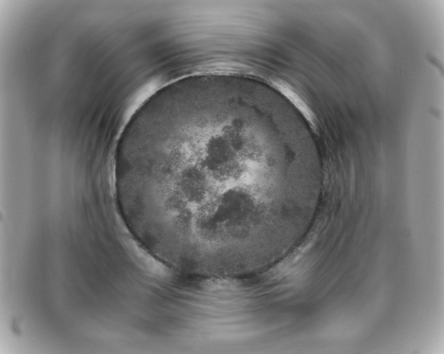 X0000096421083200801241312