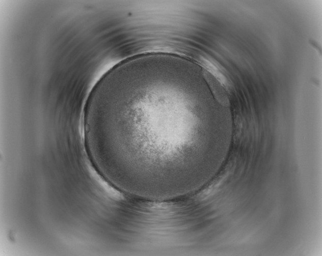 X0000096421084200801241312