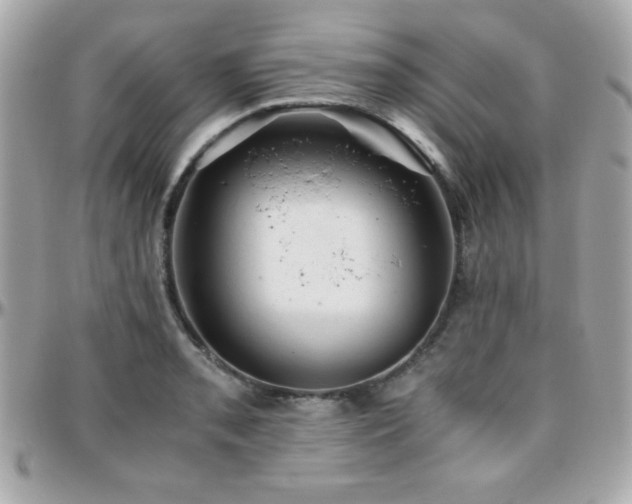 X0000096421085200801241312
