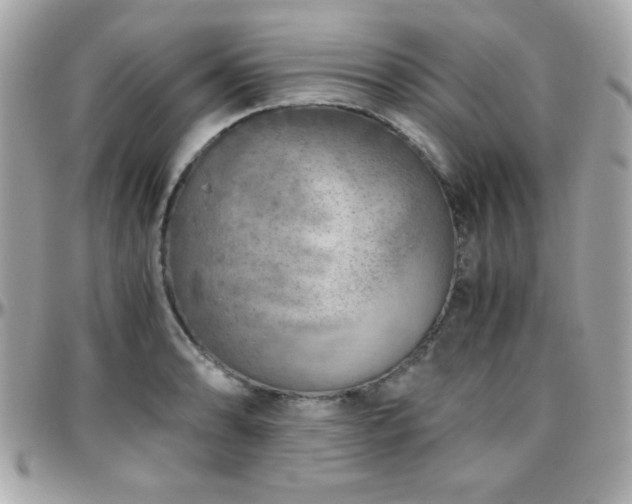 X0000096421086200801241312